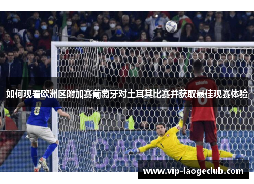 如何观看欧洲区附加赛葡萄牙对土耳其比赛并获取最佳观赛体验