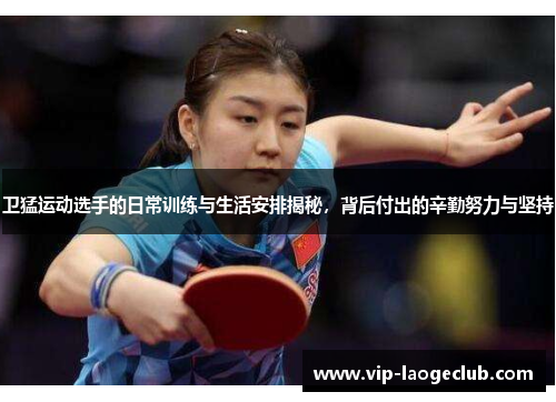 卫猛运动选手的日常训练与生活安排揭秘，背后付出的辛勤努力与坚持