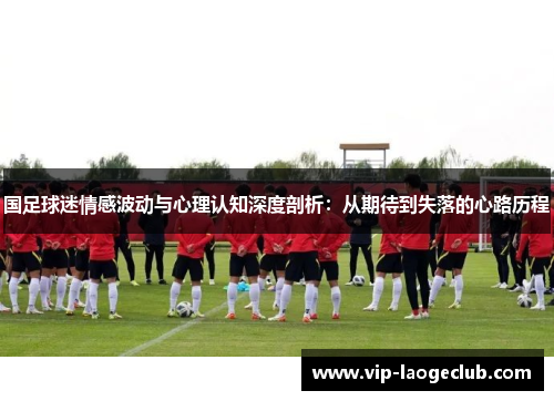 国足球迷情感波动与心理认知深度剖析：从期待到失落的心路历程