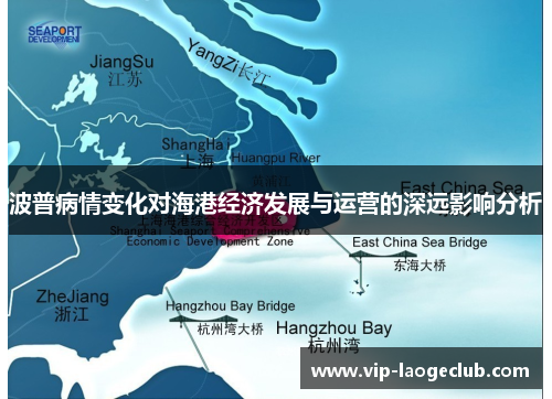 波普病情变化对海港经济发展与运营的深远影响分析