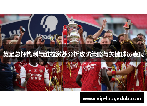 英足总杯热刺与维拉激战分析攻防策略与关键球员表现