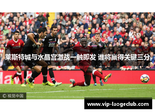 莱斯特城与水晶宫激战一触即发 谁将赢得关键三分 莱斯特城与水晶宫激战一触即发 谁将赢得关键三分