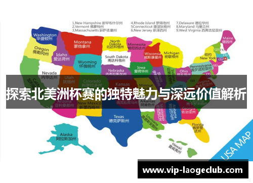 探索北美洲杯赛的独特魅力与深远价值解析