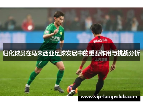 归化球员在马来西亚足球发展中的重要作用与挑战分析 归化球员在马来西亚足球发展中的重要作用与挑战分析