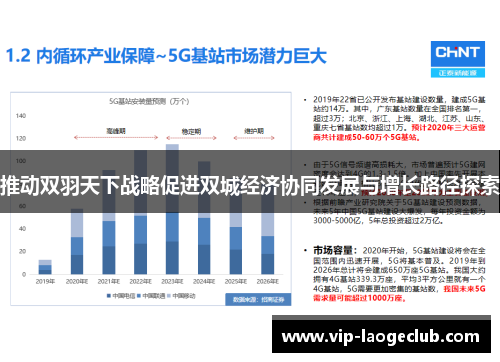 推动双羽天下战略促进双城经济协同发展与增长路径探索 推动双羽天下战略促进双城经济协同发展与增长路径探索