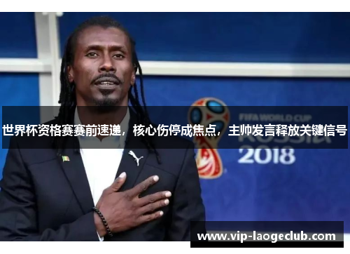 世界杯资格赛赛前速递,核心伤停成焦点,主帅发言释放关键信号 世界杯资格赛赛前速递,核心伤停成焦点,主帅发言释放关键信号