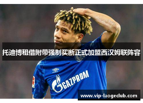 托迪博租借附带强制买断正式加盟西汉姆联阵容 托迪博租借附带强制买断正式加盟西汉姆联阵容